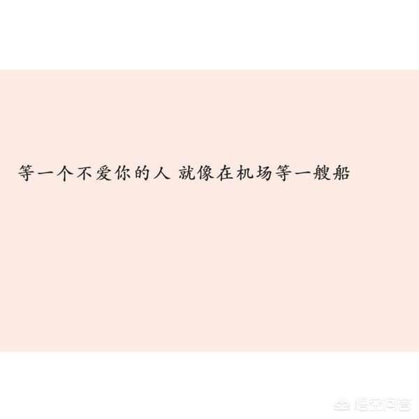a670000525ccad3b82c1.jpg