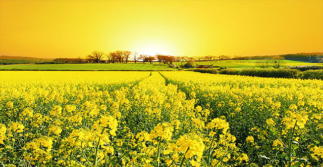 97A58PIC7aP_1024.jpg