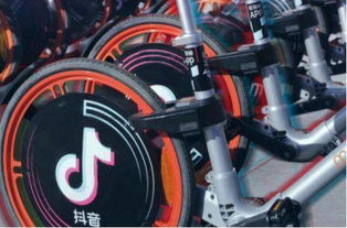 1560349593662460.jpg c99ab069cf9da83d.jpg