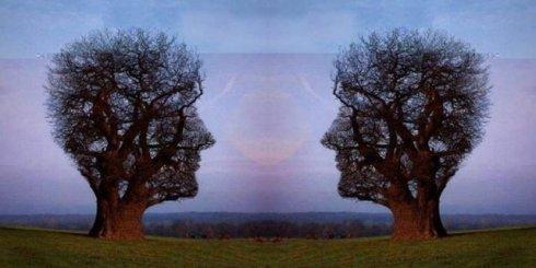 u=2078858284,3605595790&fm=26&gp=0.jpg