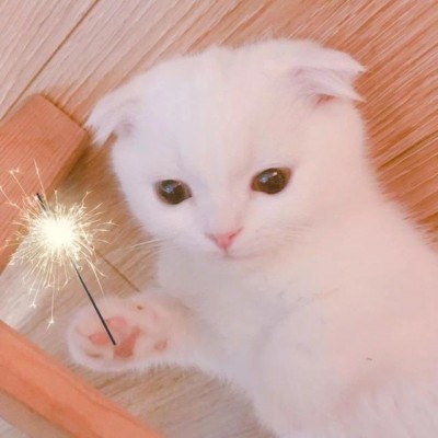 u=1248171277,3517673078&fm=26&gp=0.jpg