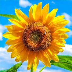 u=1790581998,574682143&fm=26&gp=0.jpg