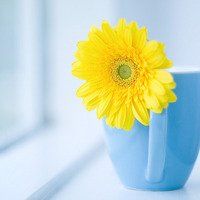 u=3891013000,2468652804&fm=26&gp=0.jpg