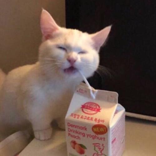 1562317346722287.jpg u=2384214822,2883181332&fm=26&gp=0.jpg