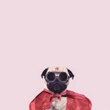 1562936747248869.jpg u=3170272444,253651816&fm=15&gp=0.jpg