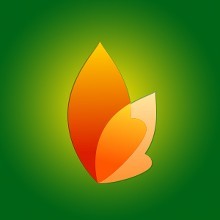 1563280523748055.jpg download.jpg