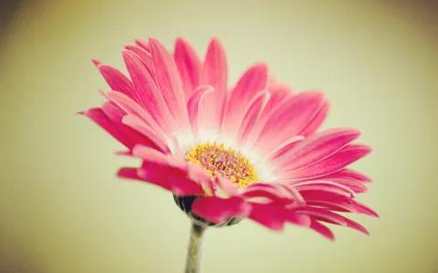 1563435044674986.png HW5H%ZR@_N4@(C)}40_LTGI.png