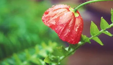 1563435054940671.png UR`OIQCL`SOF0XJG$CA1OZJ.png