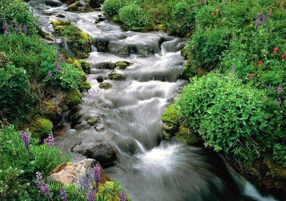 1563946131647259.png image.png