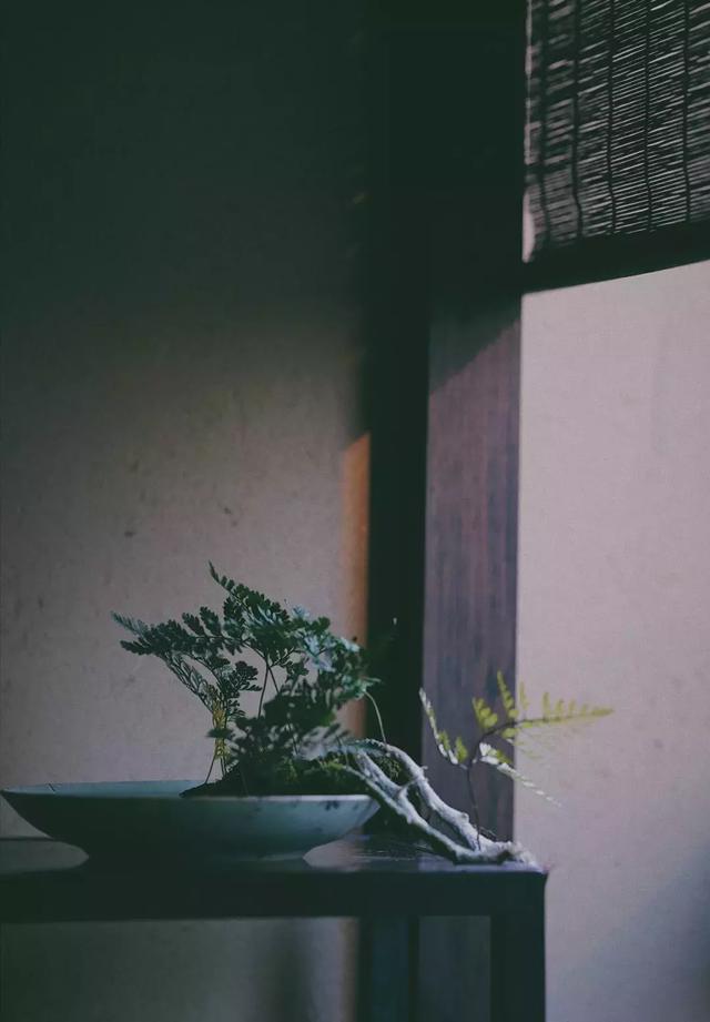 1564122698961447.jpg 3242037506fb4adbadc79b844f9439d0.jpg