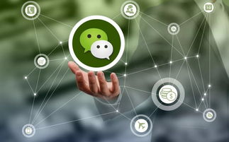 1564321670827037.jpg 66090bc1a075f139.jpg