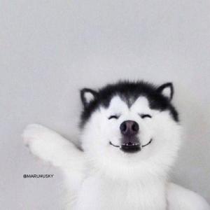 1564401946918567.jpg u=3549242429,799644835&fm=26&gp=0.jpg