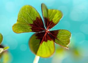 1564484772155697.jpg 6bc8d62b66b54b0586ff1a7724147320.jpg