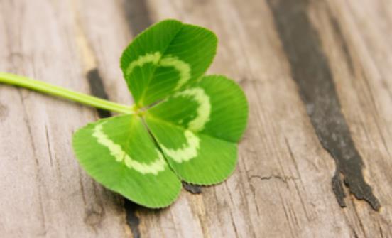 1564484777582542.jpg b554bc40bbc34a388c5950e2421e0bae.jpg