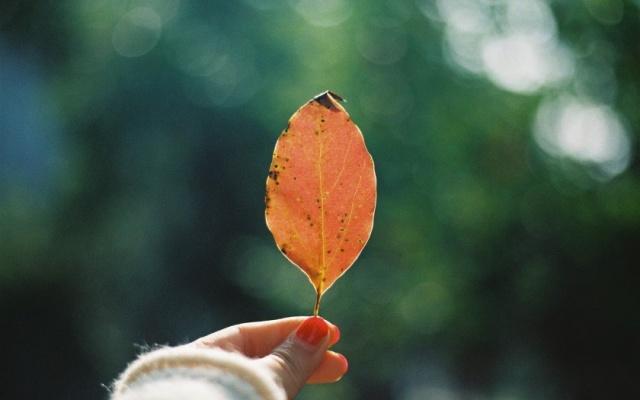 1564747353529674.jpg 886d39bc206e44e197934fe6eb6e27a4.jpg