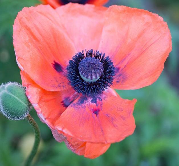 1564900144442677.jpg 787b5319-dffd-4fe0-be3e-e8a03a1434f4.jpg