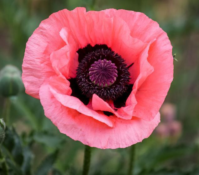 1564900149337836.jpg ca7b8ea6-6f15-45d2-806b-683208e7e9e4.jpg