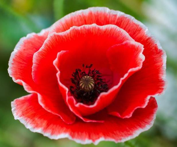 1564900154408150.jpg 21e33cf6-ac0d-4f89-910b-1302dbf39a2f.jpg