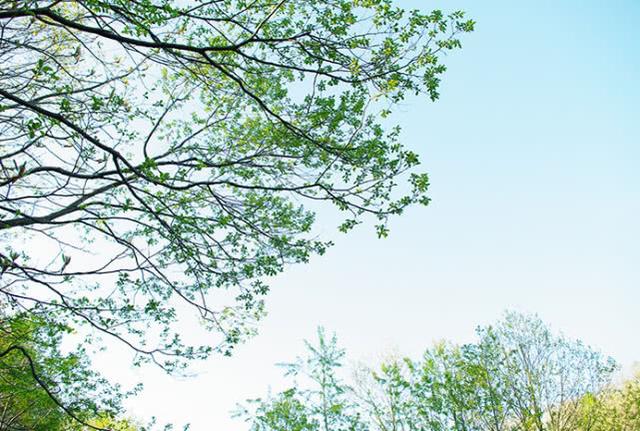 1564976630278800.jpg 026c1655534d4f93b00841ea88629f87.jpg