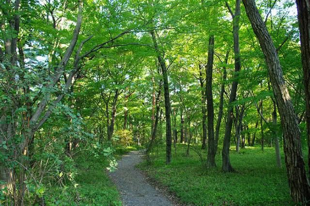 1564976636810032.jpg 33bcd40eb0394791b7d3deaafeafec50.jpg