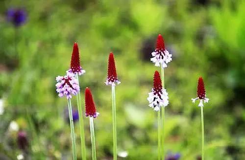 1564984516806682.jpg 99db6b3cf6454f33bb399c0b6bb51c6e.jpg