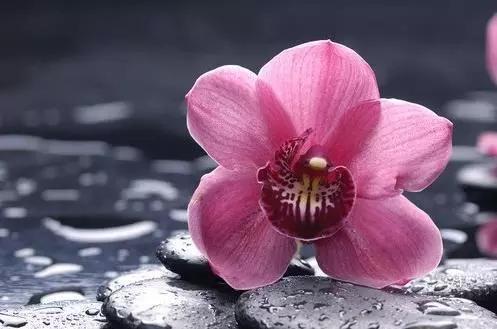 1564984519620110.jpg 9521323e7286434a977139460de56d86.jpg