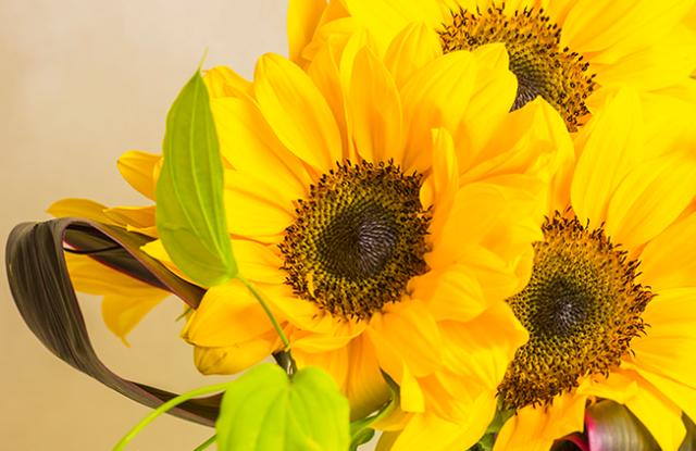 1565276729624041.jpg ef84edf4d6cb4eb3a7614cb8d04c3201.jpg