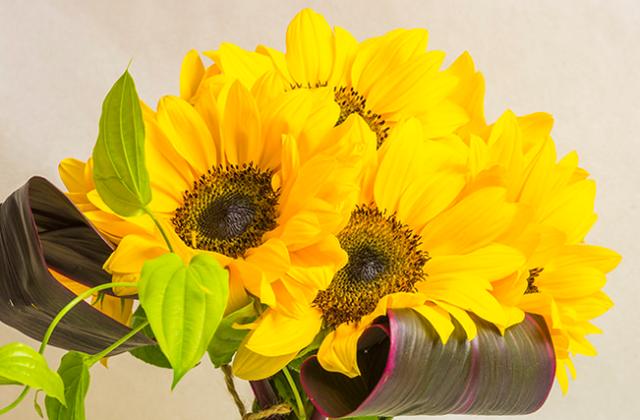 1565276735934150.jpg f581eeb8fd744b1fac4cb280332bc4dc.jpg