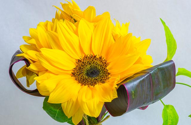 1565276741707095.jpg dca8998d99e047b49a287eb86675a2fa.jpg