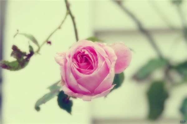 1565342603280053.jpg 3691359628408240621.jpg