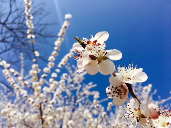 1565342610670016.jpg 5984728614955336105.jpg