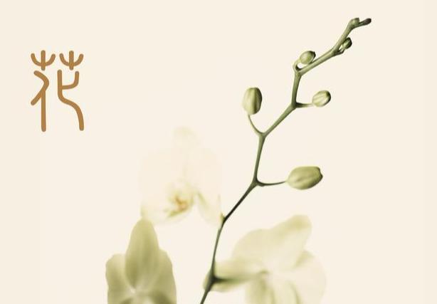 1565420950316512.jpg b5c2ceea-d44d-415f-9644-d22a3eef0d32.jpg