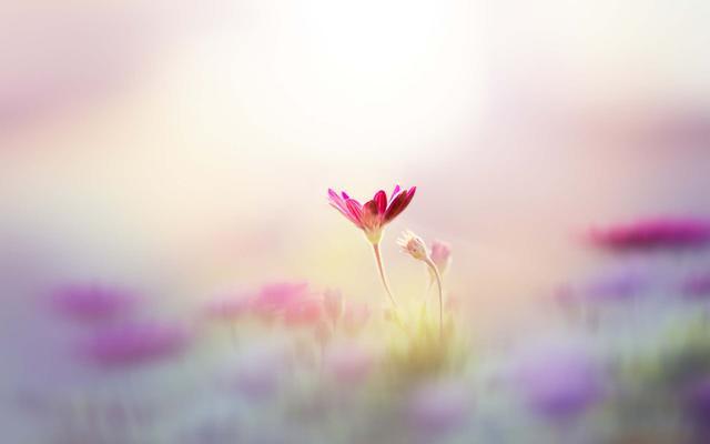 1565597357440114.jpg 99e49edad76e4dc6ad68dba8df1b91cd.jpg