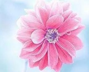 1565597514735563.png OCQ$XTJ3(0Q9Y3Z36_R{V[P.png