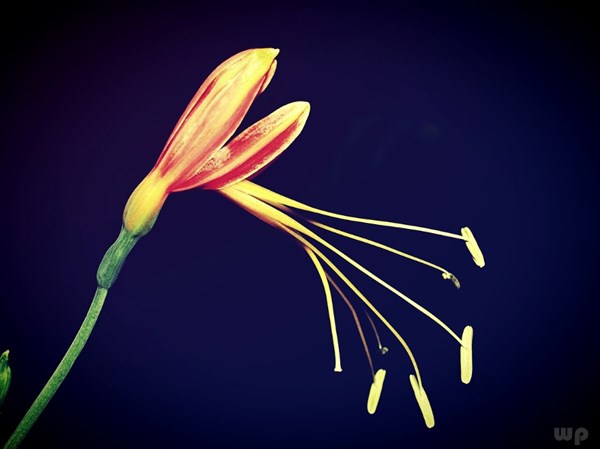 1569075385939184.jpg 2035227045110067700.jpg