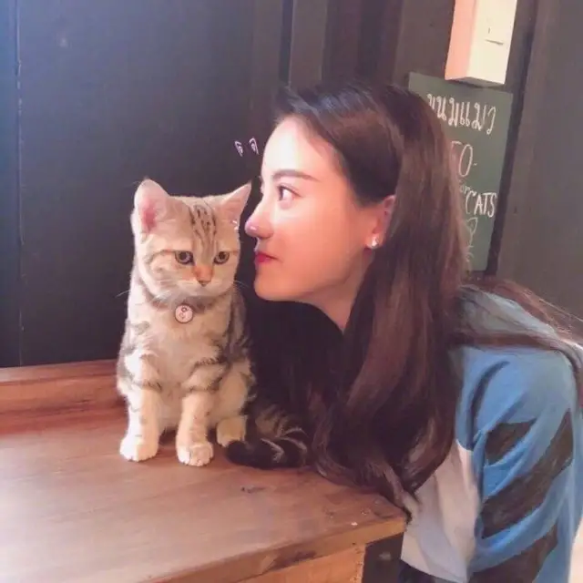 1569334857793542.jpg yhrjahcV6-KrSobEJ6Ojyd8D-g4.cnt.jpg