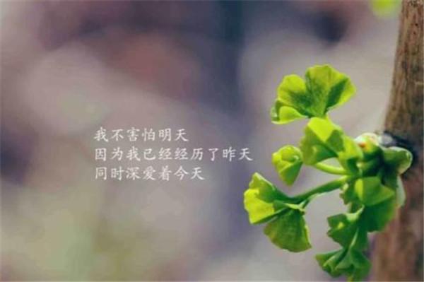 f7aab6028c4b4a3dae58cf8750317912.jpg