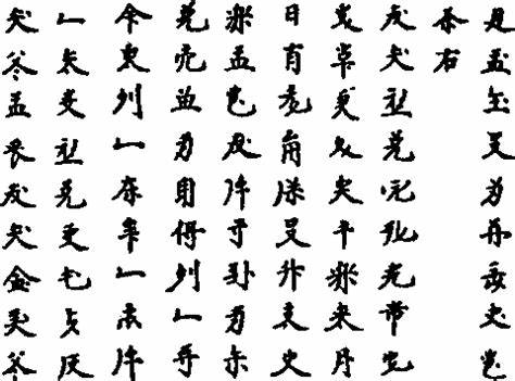 1572935789581739.jpg th (8).jpg