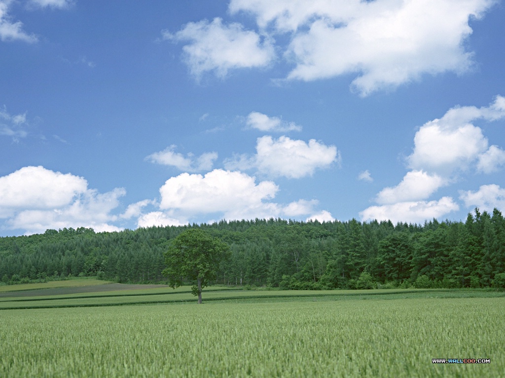 nature_sky-photography-01_39033_2.jpg
