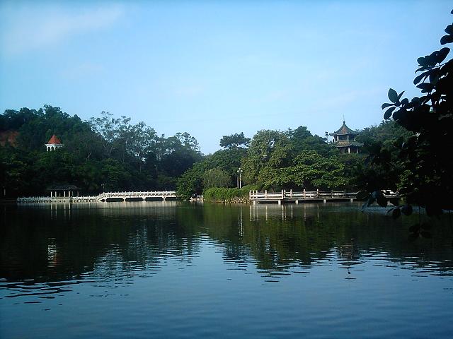 11bf8382034g215.jpg
