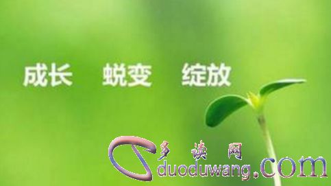 9732163bb0fe41fe9e92b8666d319390.jpg