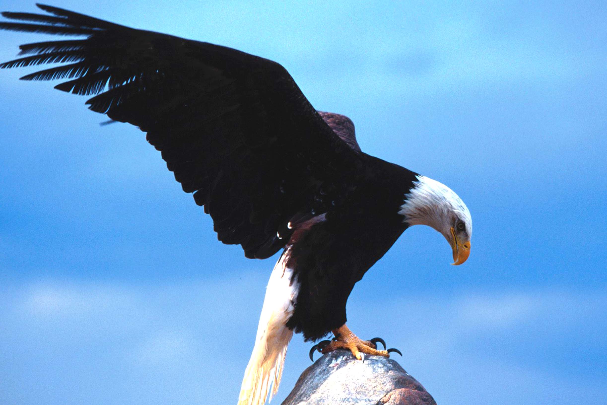 1583126850713493.jpg 2904195_1337839729tbJn.jpg