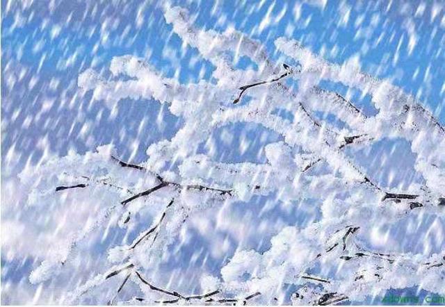 1583303376693809.jpg b938a0b6d77a4245b424d0651e39df61.jpg