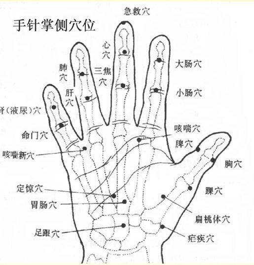 气血疏通手针定位图片