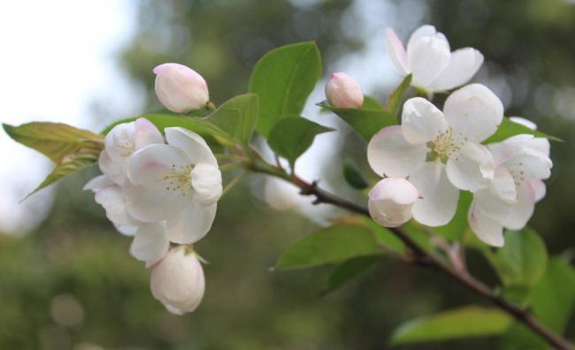 1588078076526680.jpg ac75323d6b6de243-89d6da0f0549cd8f-e0cb511d07176dd89958b98382839d69.jpg