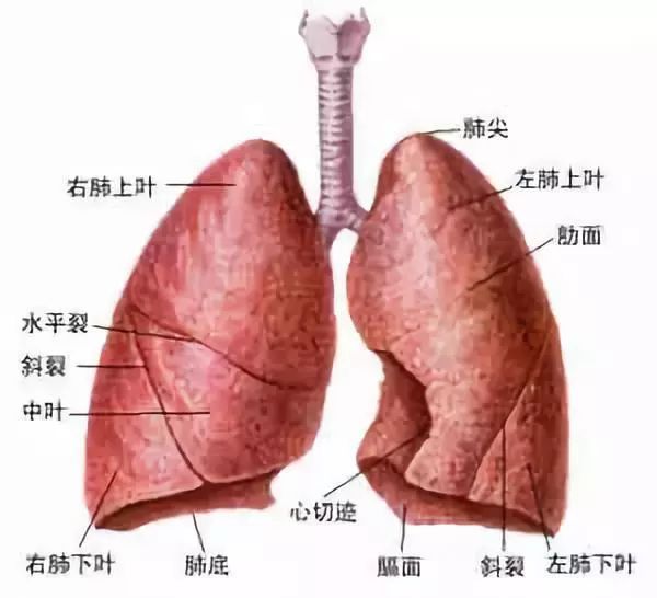 e154002750821088-37dc5468319bfb35-5e5cdc5ebc508793e38eae64e65a91f5.jpg