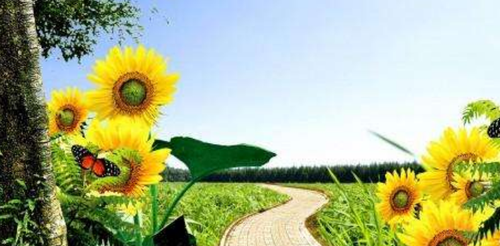 1588323622315428.png image.png