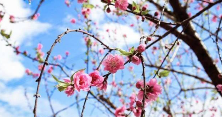 1588323651570995.png image.png