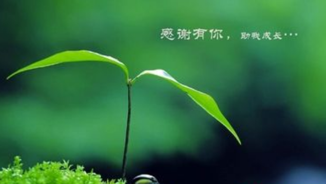 1591851900918314.png image.png