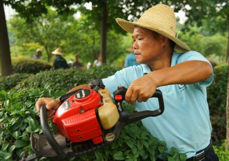 1594965272211112.png image.png